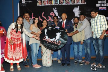 Madhumati Movie Audio Launch